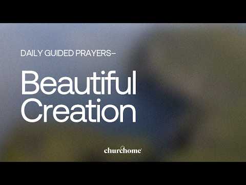Beautiful Creation