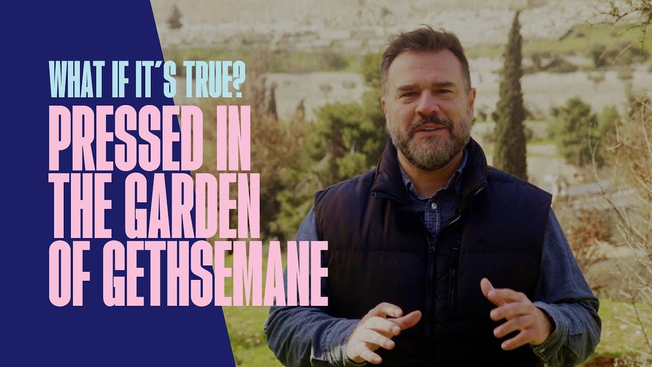 Pressed in the Garden of Gethsemane