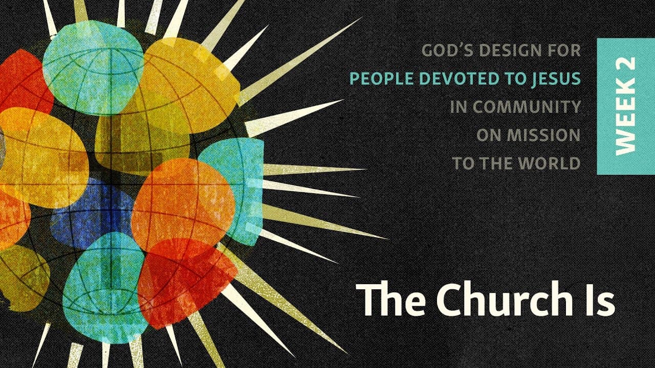 The Design We Were Made For | The Church Is