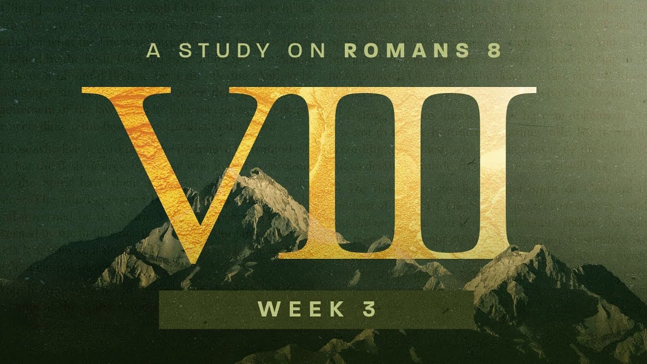 A Shift in Perspective | VIII | Week 3