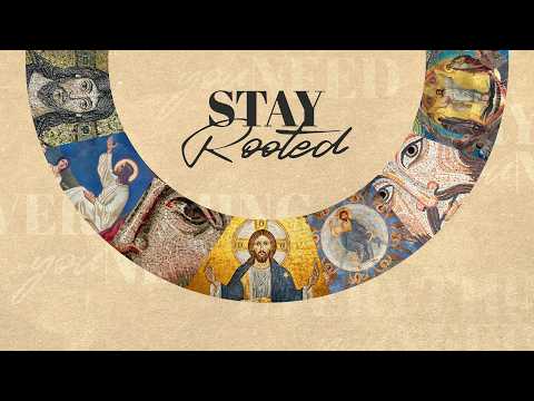 Everything You Need: Stay Rooted