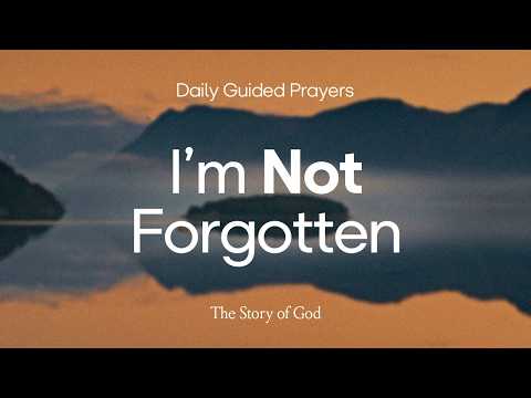 I'm Not Forgotten