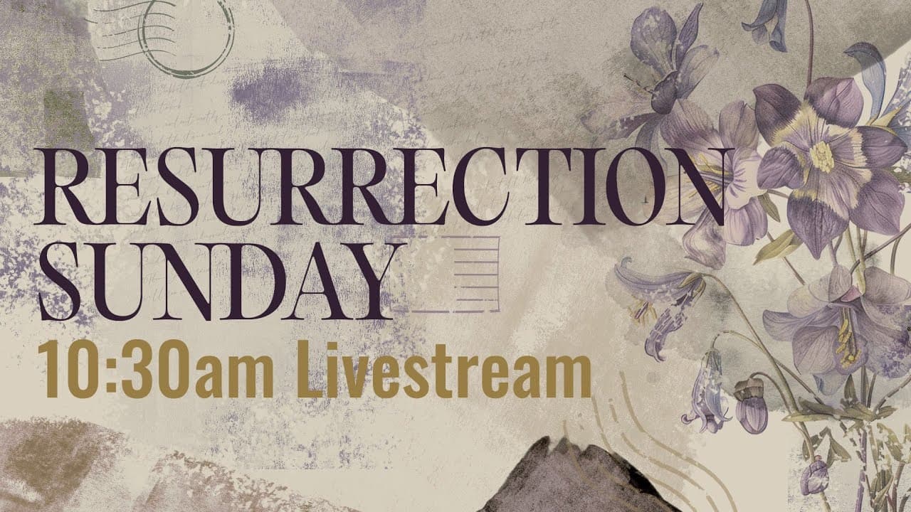 Church Online // April 5th | Harborside Church