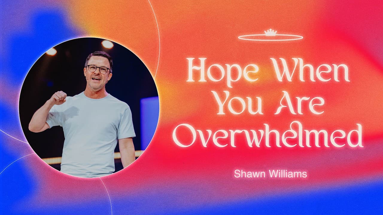 Willow Online Service