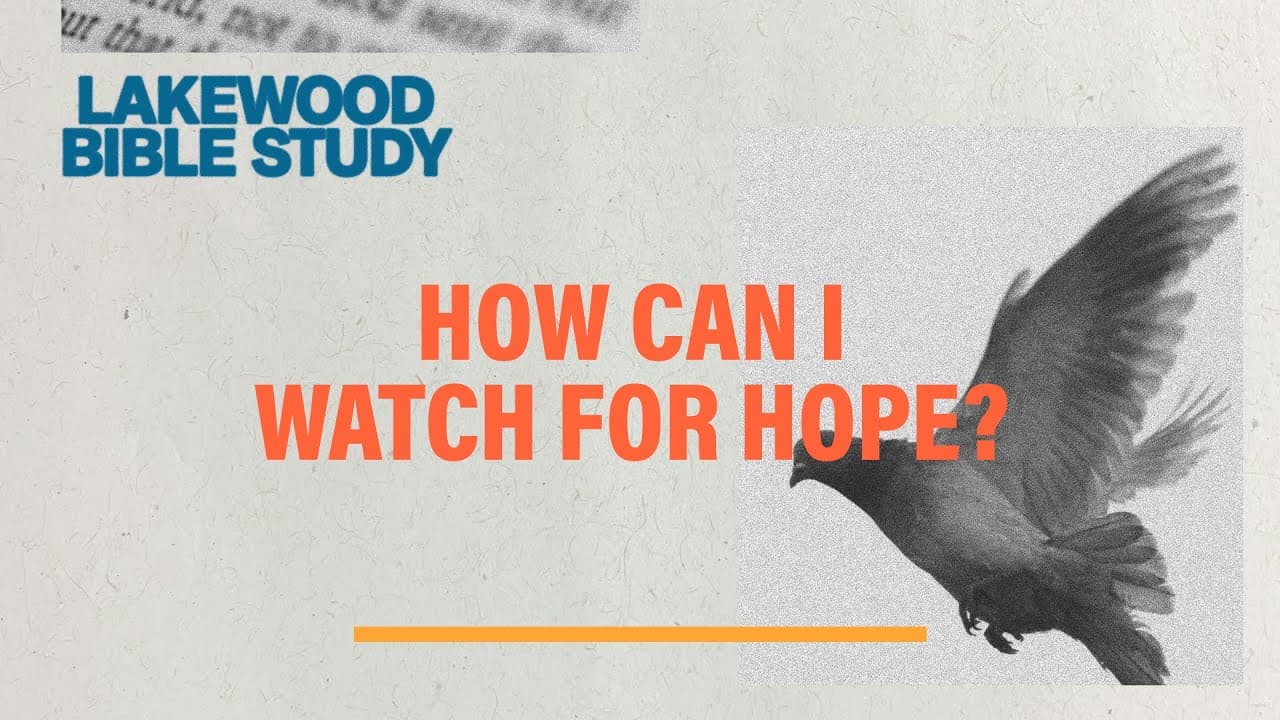 How Can I Watch For Hope? | Erik Luchetta and Jeremy Marrone