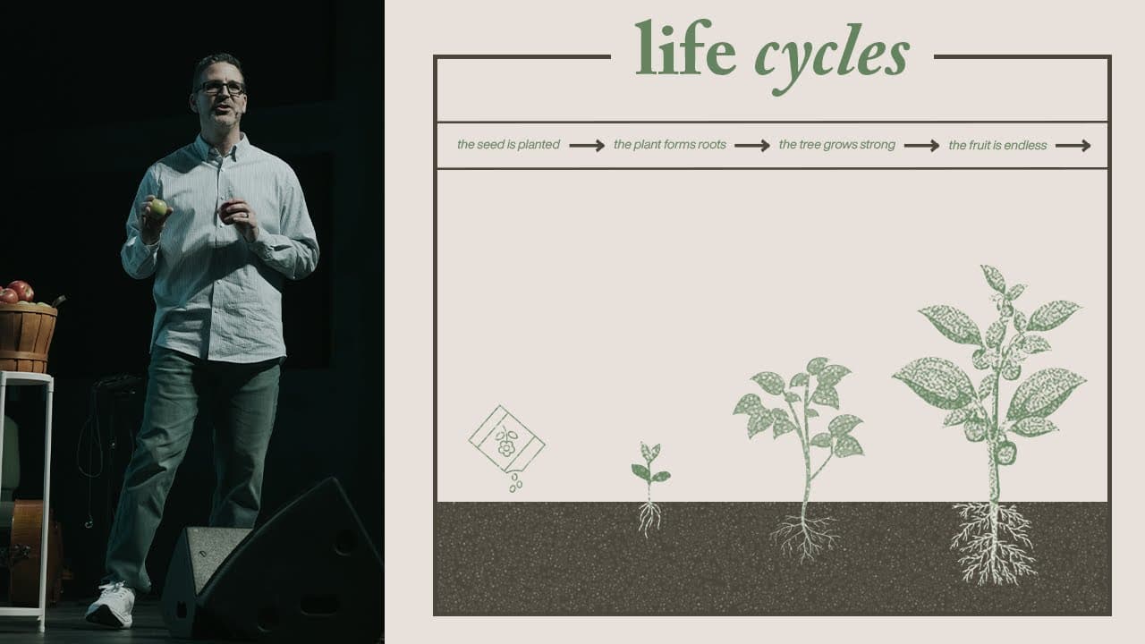 LIFE CYCLES | January 26th 2025 | PASTOR JONATHAN D'ANGELO