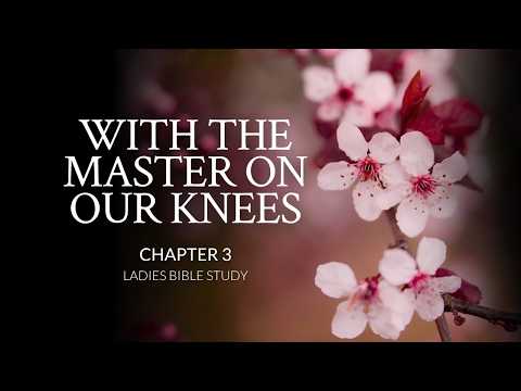 Ladies Bible Study