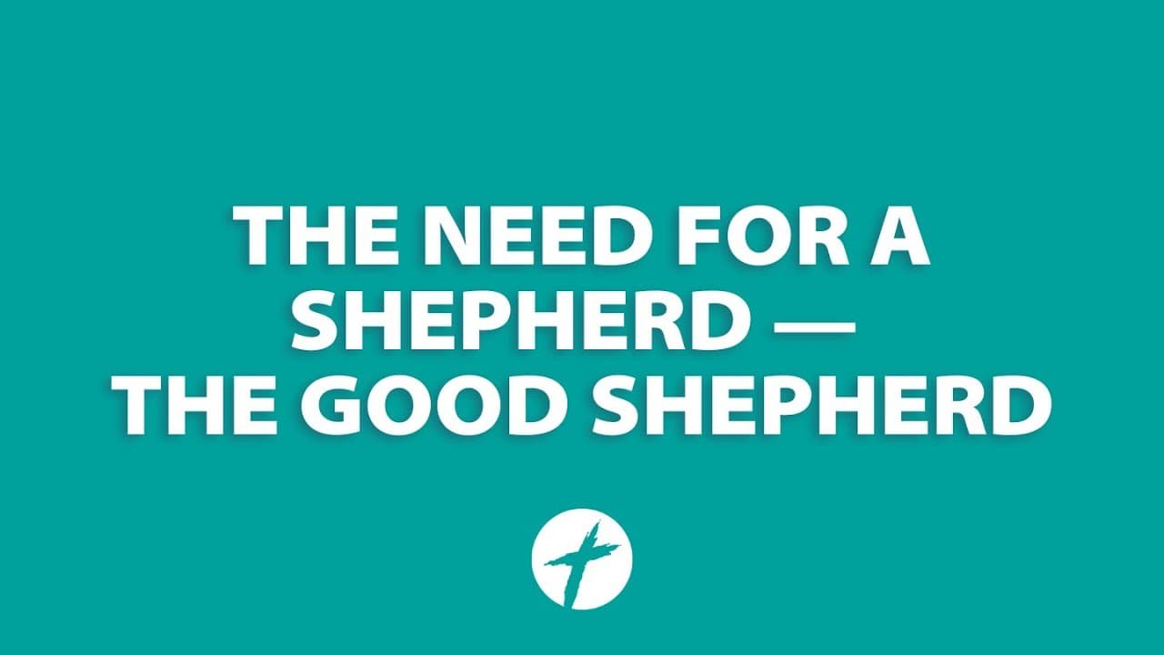 Weekly Sermon | Wesley Arnes | The Need For A Shepherd | 6/25/2023