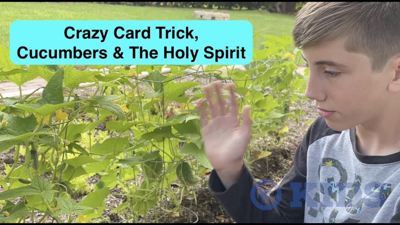 Crazy Card Trick, Cucumbers, & The Fruit of the Spirit