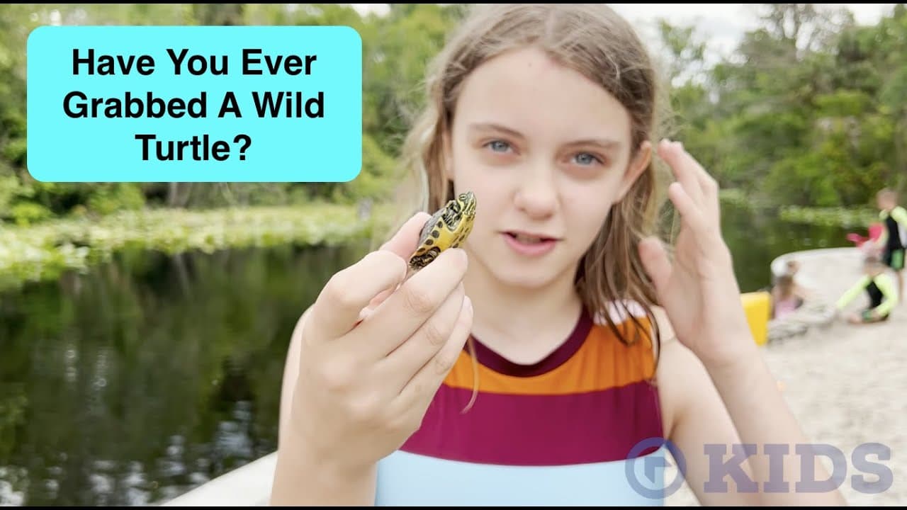Have You Ever Grabbed A Wild Turtle? Northwest Kids Party Time!