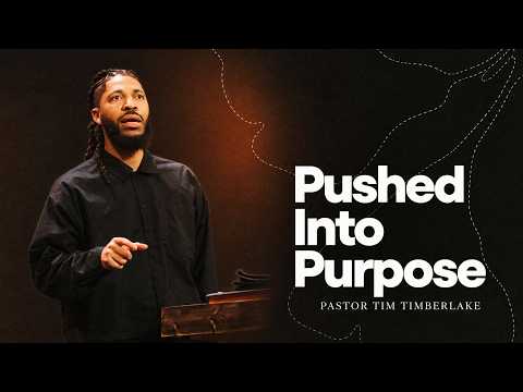 Pushed Into Purpose | Tim Timberlake