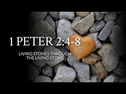 1 Peter 2:4-8 | Living Stones Through The Living Stone