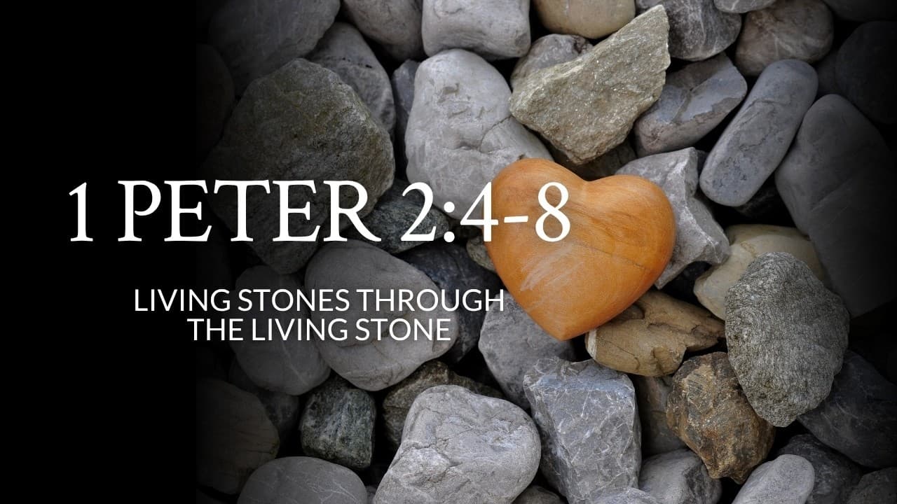 1 Peter 2:4-8 | Living Stones Through The Living Stone