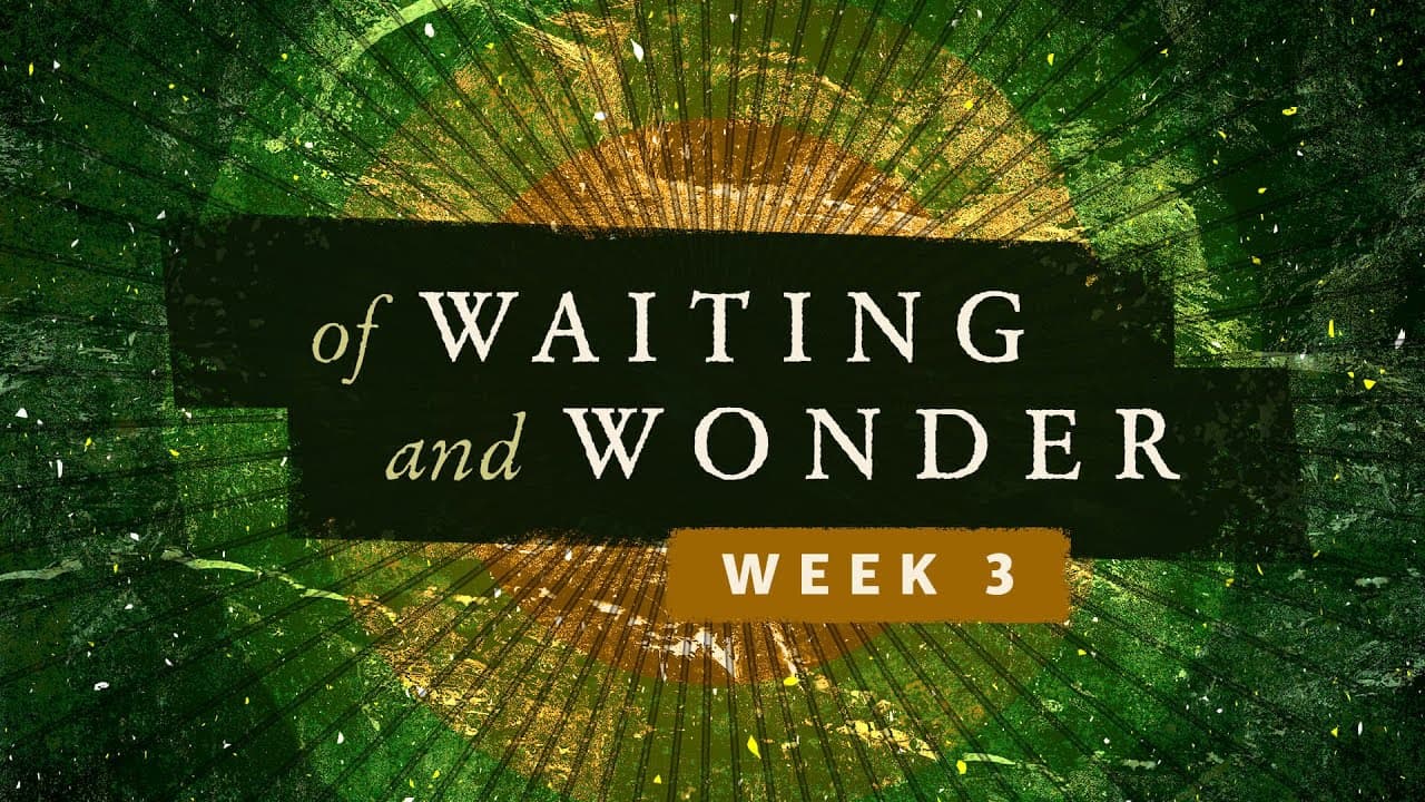 World filled with Wonder| Of Waiting and Wonder | Week 3