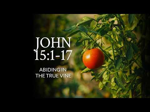 John 15:1-17 | Abiding In The True Vine
