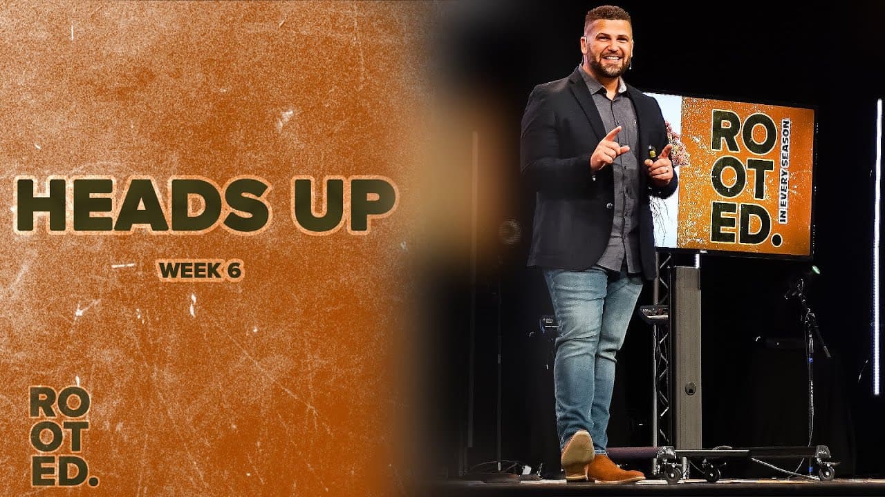 Rooted // Week 6