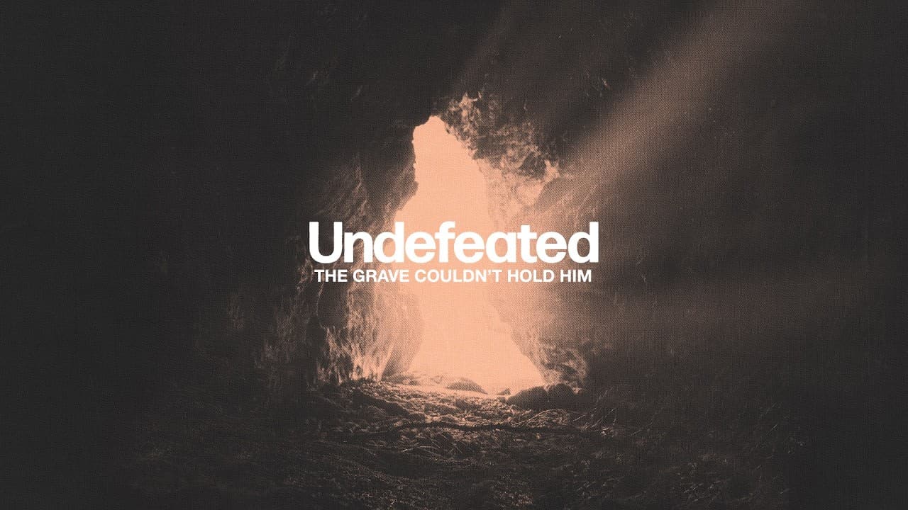 Look to the Cross | Steven Lawrance | Suncoast Church Online