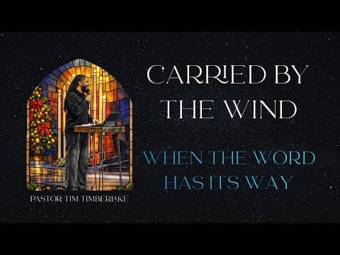 When The Word Has Its Way | Tim Timberlake | Celebration Everywhere