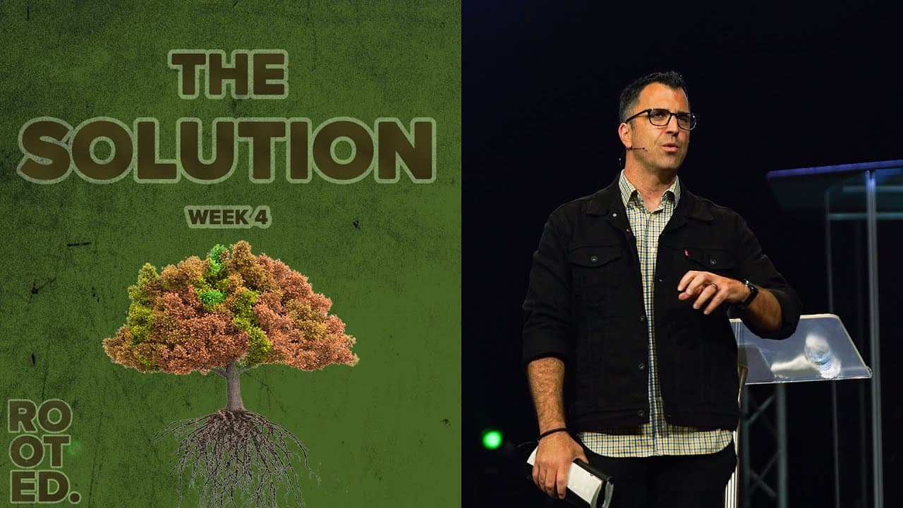 Rooted // Week 4