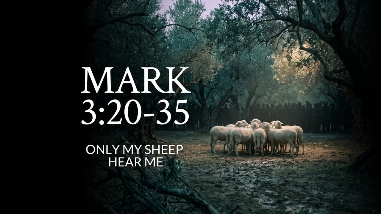 Mark 3:20-35 | Only My Sheep Hear Me
