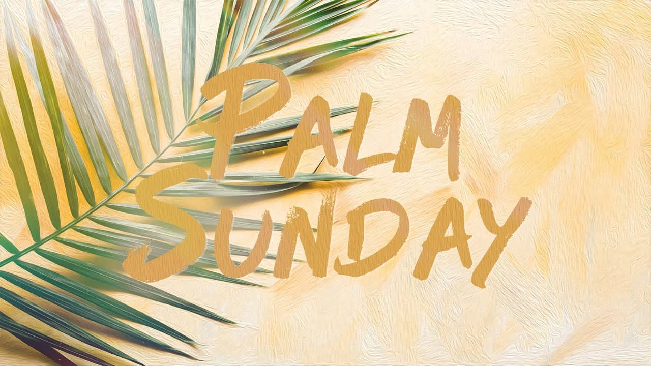 PALM SUNDAY | March 23rd 2024 | CHURCH IN THE SON