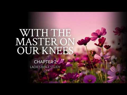 Ladies Bible Study